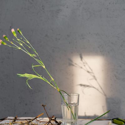 Headshot of Olga Zariczna, the yoga guide, smiling warmly.